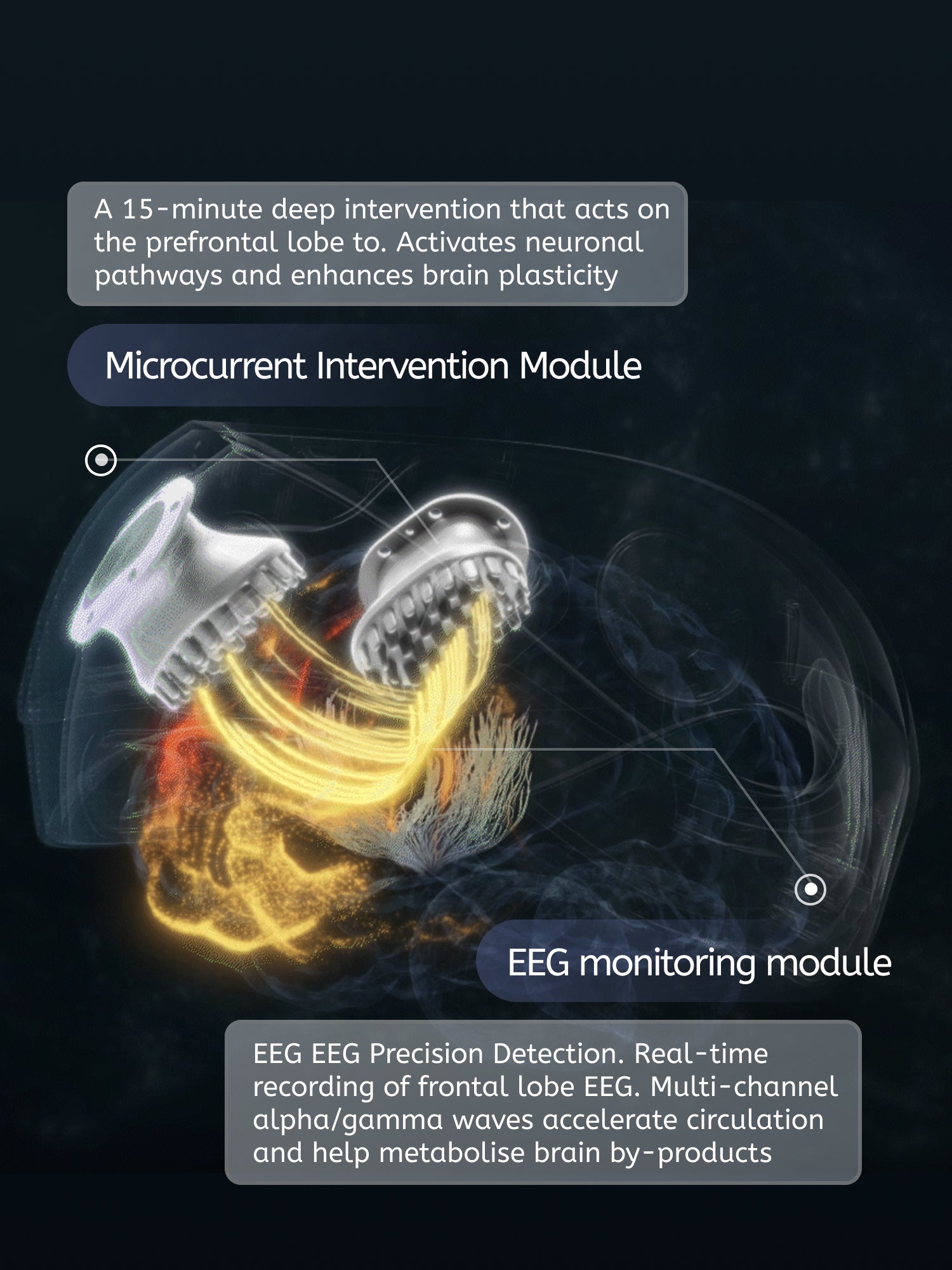 PanBrain Energy Capsule II (Cognitive Version)